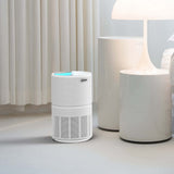 Air Purifier and Cleaner with HEPA Filter, Sleep Mode and Timer