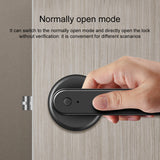 Electronic Smart Door Lock Handle Digital Fingerprint Password Bluetooth Key APP