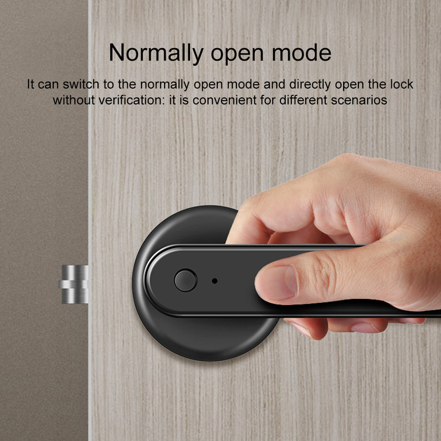 Electronic Smart Door Lock Handle Digital Fingerprint Password Bluetooth Key APP