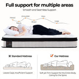 ChiroSleep Orthopaedic Euro Top Pocket Spring Double Mattress