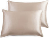 Luxury Pillowcase 2 Pack - 100% Pure Mulberry Silk on Both Sides - Champagne