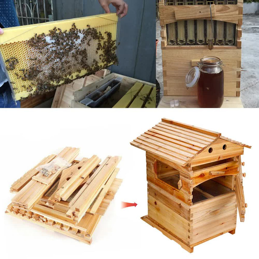 Wooden-Beekeeping-Beehive-House-+7PCS-Upgraded-Auto-Honey-Bee-comb-Hive-Frame