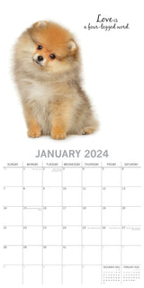 Adorable Dogs - 2024 Square Wall Calendar Pets Animals 16 Months Premium Planner