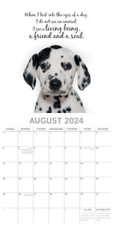 Adorable Dogs - 2024 Square Wall Calendar Pets Animals 16 Months Premium Planner