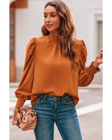 Azura Exchange Long Sleeve Mock Neck Chiffon Blouse - L