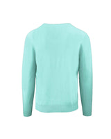 Green Tea V-Neck Cashmere Sweatshirt L Men