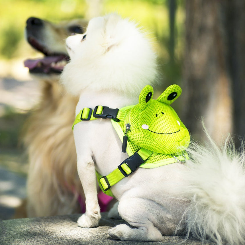 Ondoing Pet Saddle Bag Dog Harness Backpack Hiking Traveling Outdoor Bags Cute Costume (Green frog bag with leash set)M