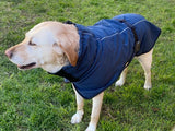 Pet Dog Raincoat Poncho Jacket Windbreaker Waterproof Clothes with Harness Hole-L-Red