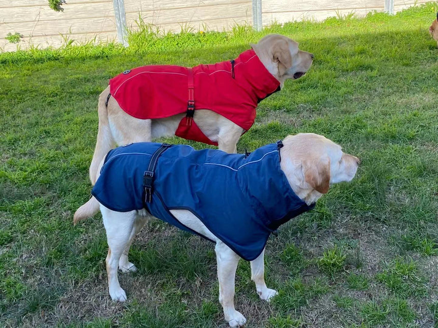 Pet Dog Raincoat Poncho Jacket Windbreaker Waterproof Clothes with Harness Hole-L-Red