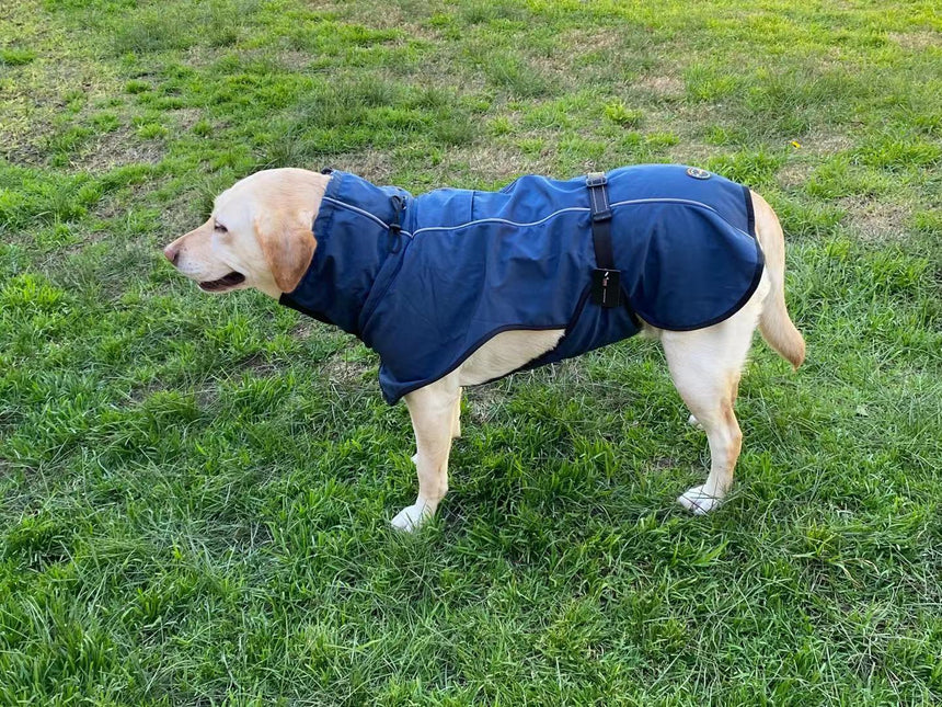 Pet Dog Raincoat Poncho Jacket Windbreaker Waterproof Clothes with Harness Hole-XS-Black (Single Layer)