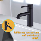 Basin Mixer Tap Faucet -Kitchen Laundry Bathroom Sink