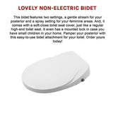 Non Electric Bidet Toilet Seat W/ Cover Bathroom Spray Water Wash