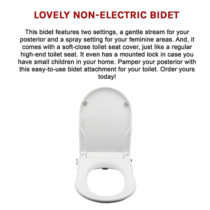 Non Electric Bidet Toilet Seat W/ Cover Bathroom Spray Water Wash