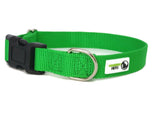 100% Pure Bamboo Fibre Dog Collar Plastic Buckle - Moondidley Pets X-Small Green