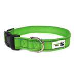 Nylon w/Reflective Stitching Dog Collar X-Small Green - Moondidley Pets