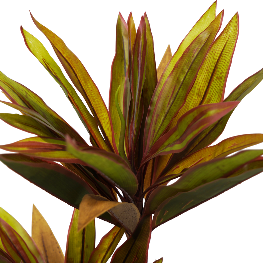 Faux Cordyline fruticosa Tree