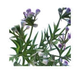 Faux Wormwood Flower Stem