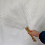 20 sticks Natural White Pampas Grass Bouquet - 21.65'' Fluffy Dried Pampas for Home Decor and Events