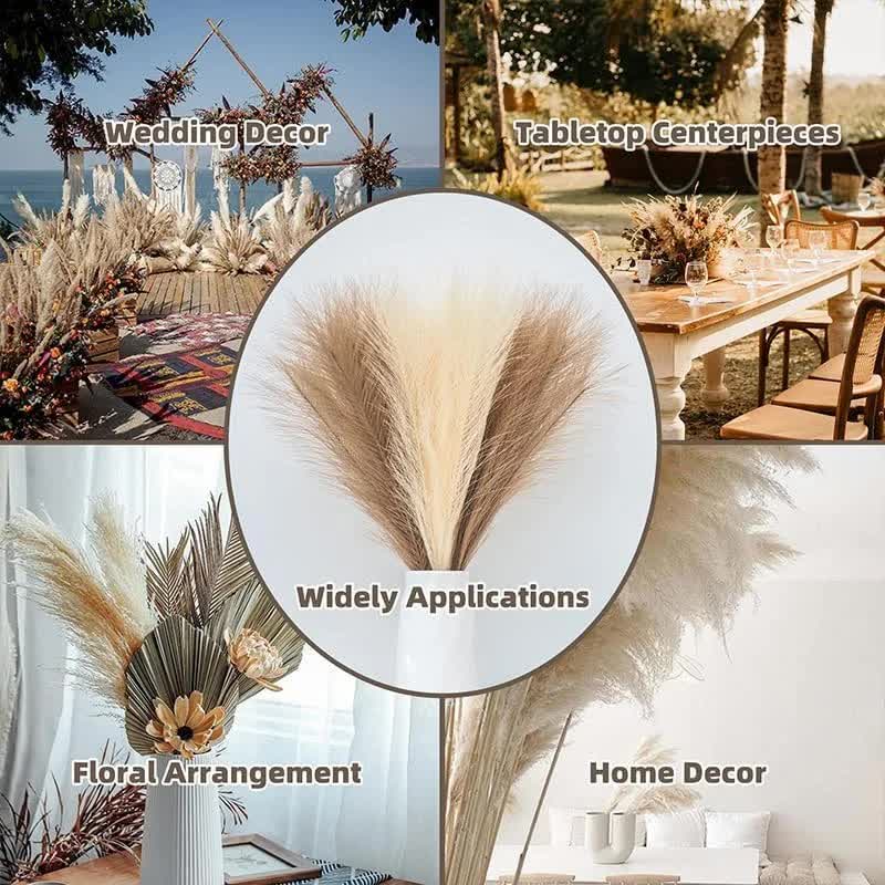 20 sticks Natural White Pampas Grass Bouquet - 21.65'' Fluffy Dried Pampas for Home Decor and Events