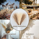 20 sticks Natural Brown Pampas Grass Bouquet-21.65" Fluffy Dried Pampas for Home Decor and Events