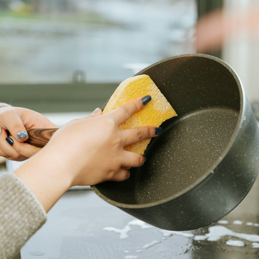 Clevinger 6PC Biodegradable Sponges