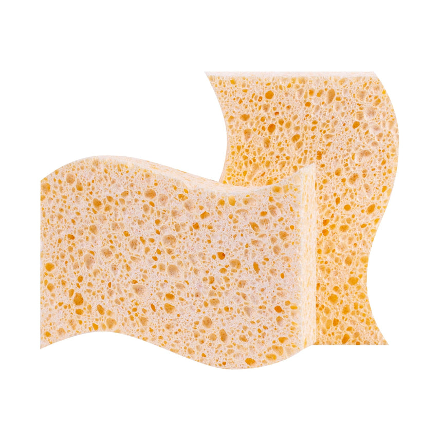 Clevinger 6PC Biodegradable Sponges