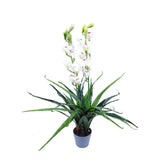 100cm Faux Artificial Home Decor Potted  Cymbidium-Red/White - White