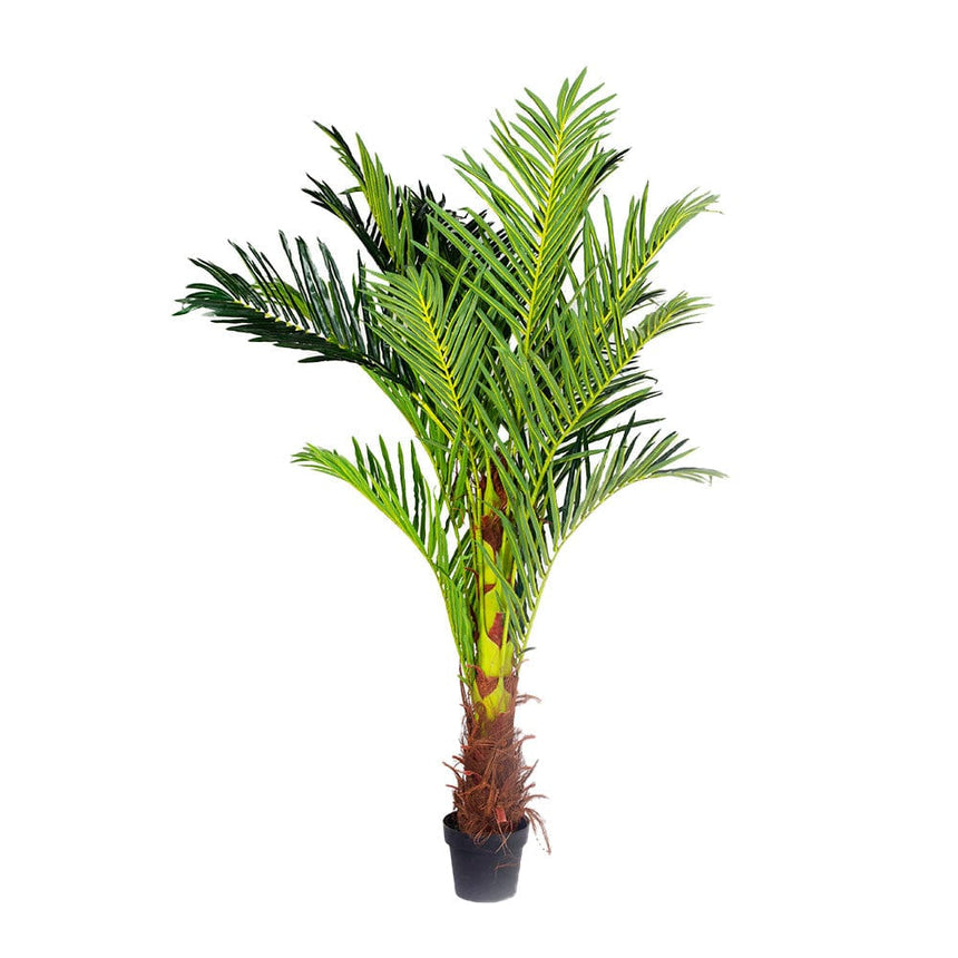 180cm Phoenix Palm - Artificial Plant, Home Decor Flora