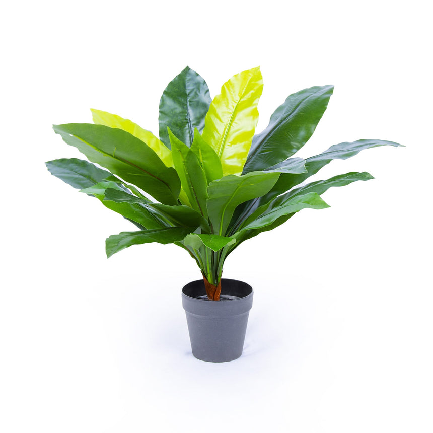 70cm Artificial Potted Birds Nest Fern